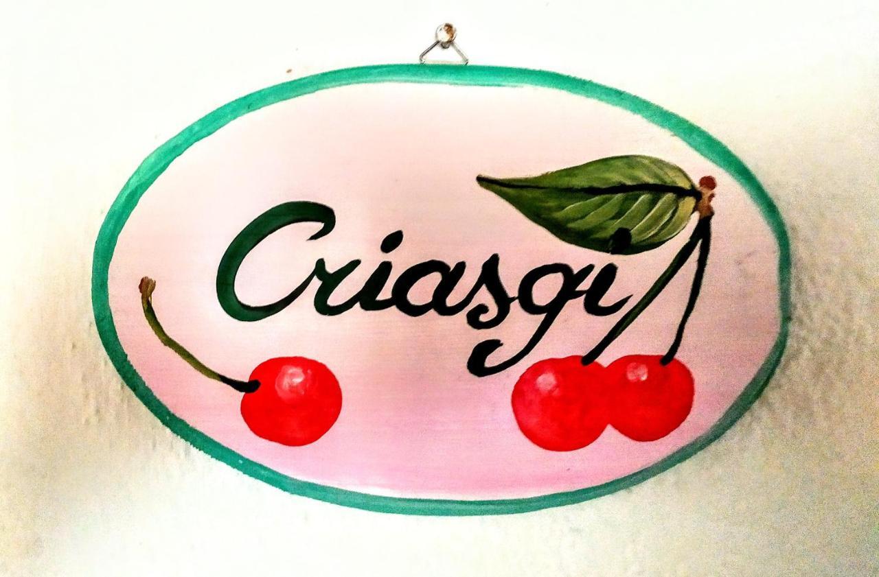 Gallura Experiences Li Criasgi Aggius Екстер'єр фото